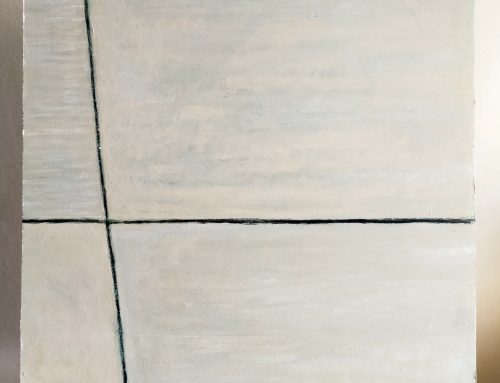 SCHRIEK 24 01 2026 NIKS